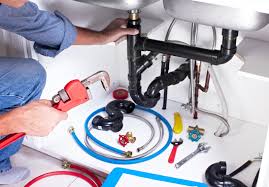 Best Garbage Disposal Repair and Installation  in Fort Lewis, WA